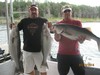 (07/18/2014) - Nice Striped Bass